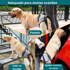 Suporte Auxiliar Para Cães Com Dificuldade Para Andar