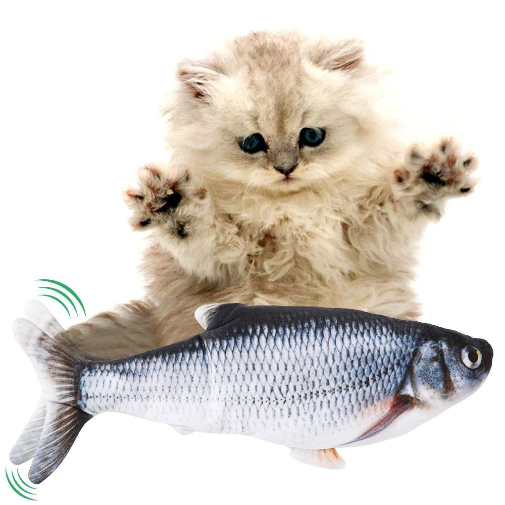 https://www.theliondogshop.com/cdn/shop/products/fish-simulator-electronic-cat-toy-usb-charging-919780.jpg?v=1628177040