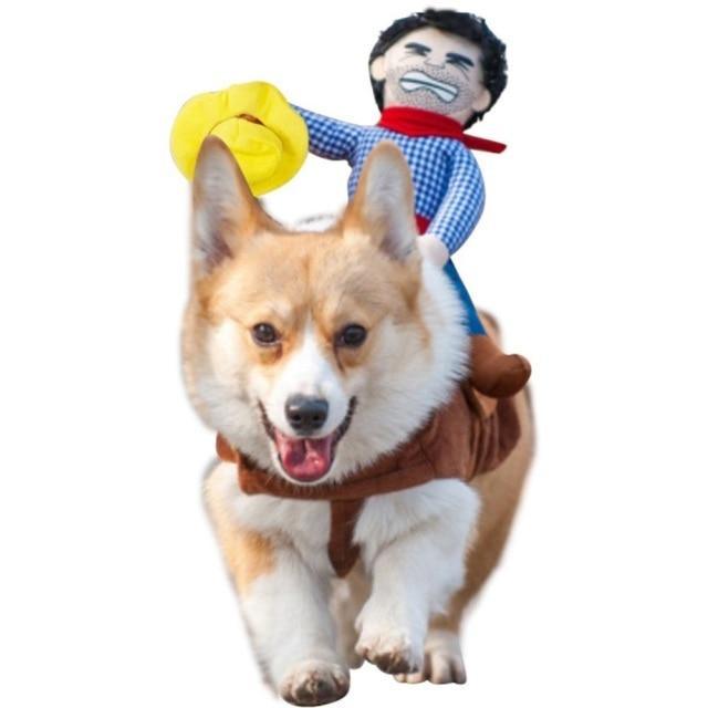 Chucky Dog Halloween Costume – Lilly & Max  Award Winning Products for  Happy Dogs and Cats