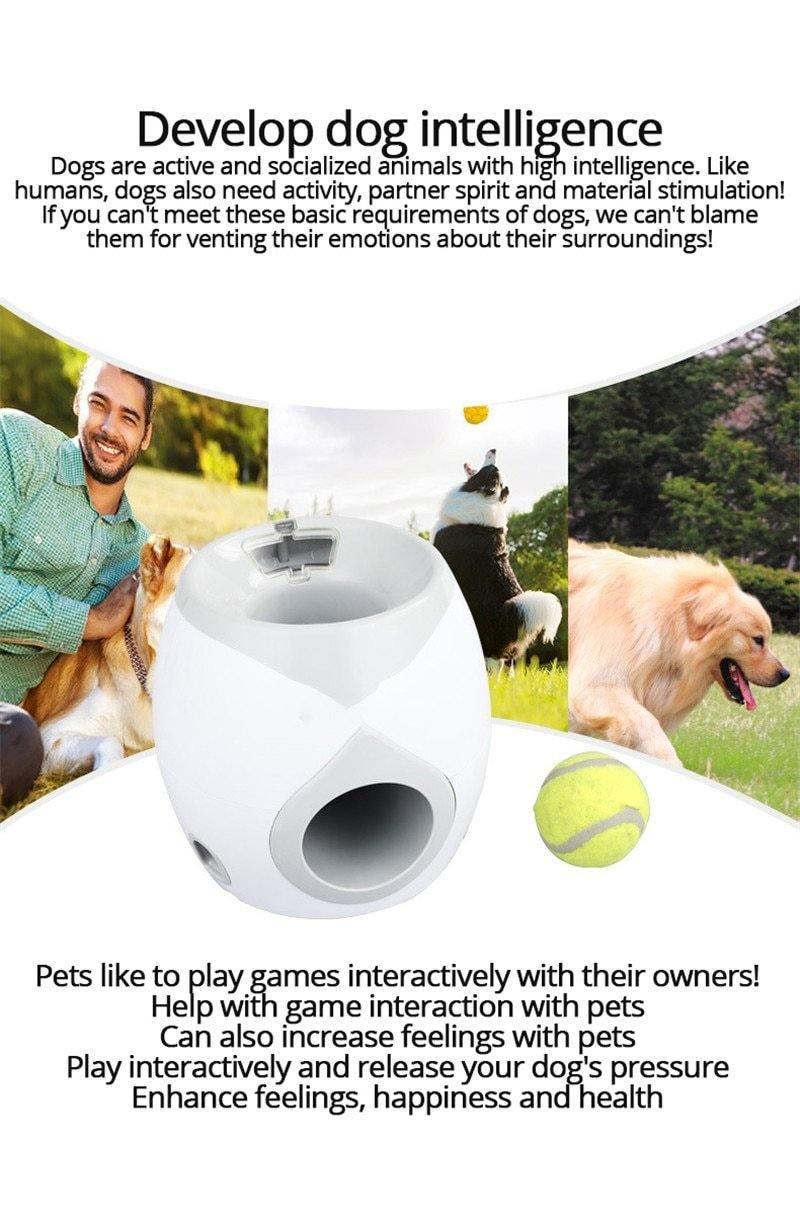 Pet Ball Leakage of Food Toy Dog Tennis Food Reward Machine